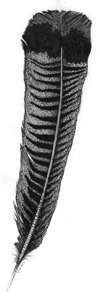 Stacks Image 74